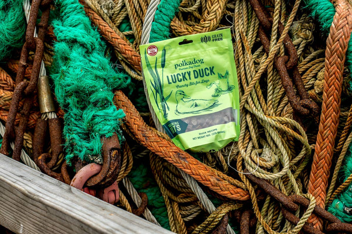 Lucky Duck (Bone Shaped) - 7oz - Dog Treats