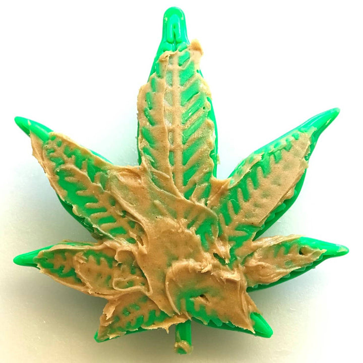 Colorado "Maple Leaf" Durable Nylon Dog Chew Toy