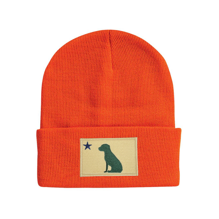Dog 1901 Maine Flag Beanie