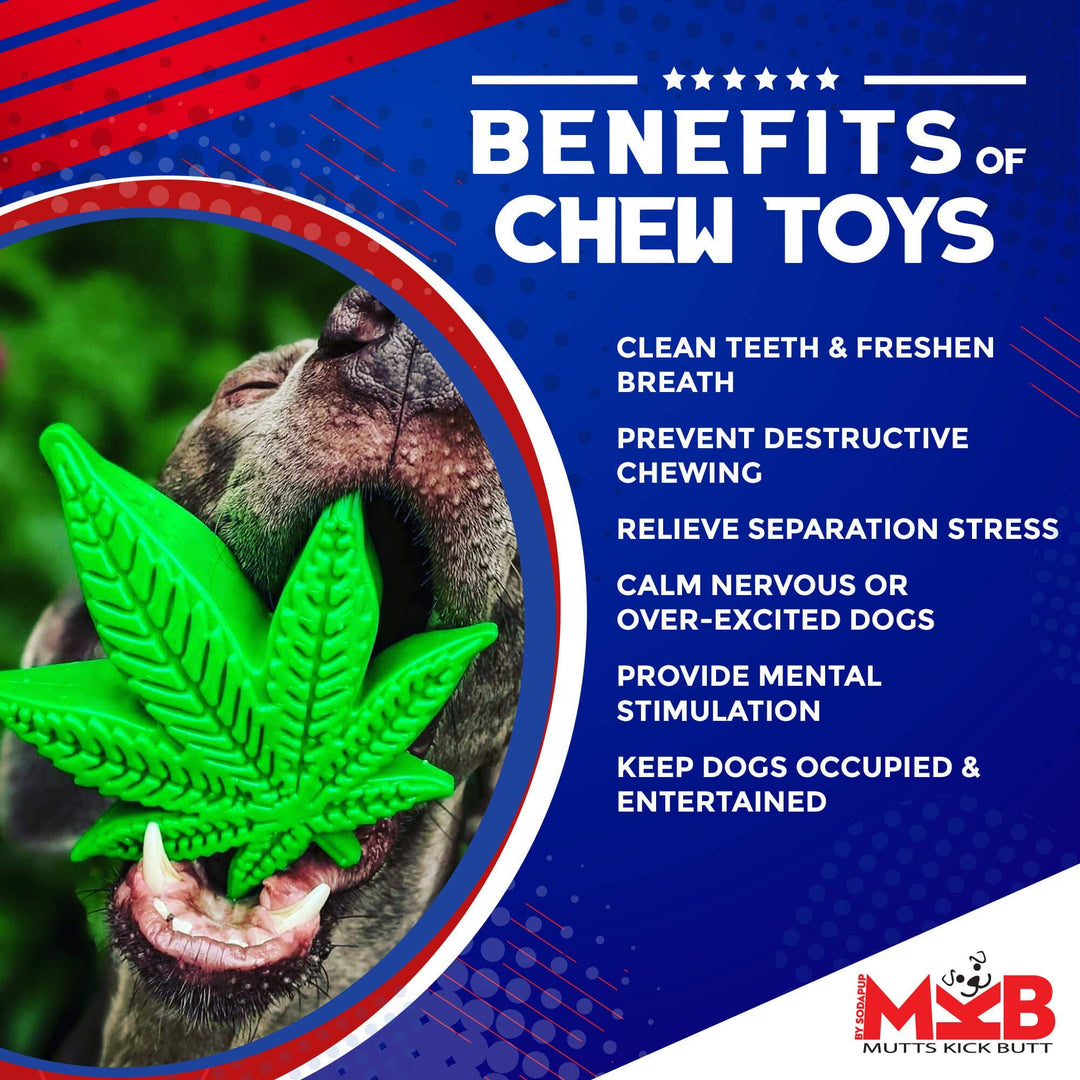 Colorado "Maple Leaf" Durable Nylon Dog Chew Toy