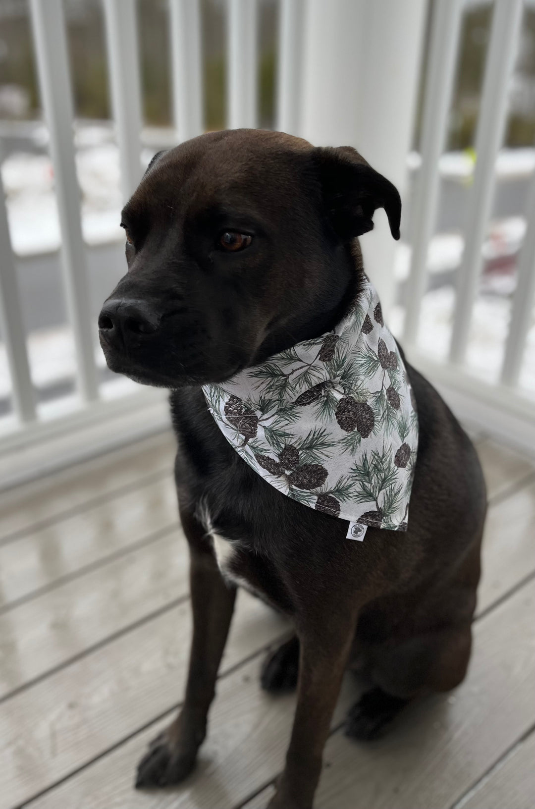 The I'm Pine Bandana