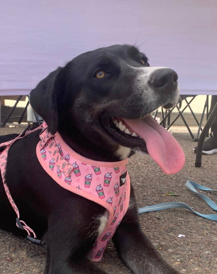 Pink Pupshake Adjustable Harness