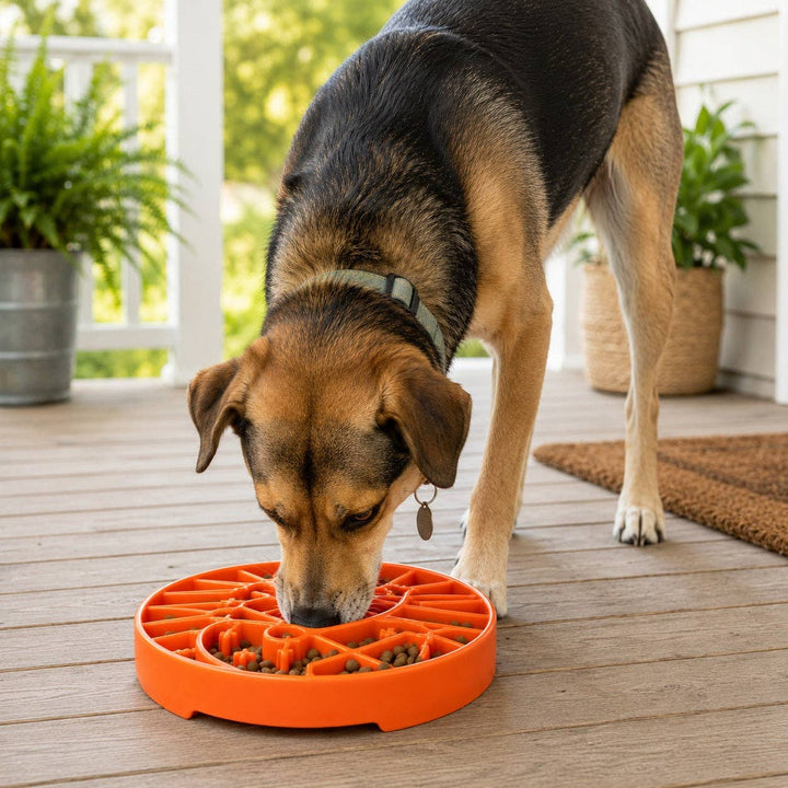 Yin Yang Design Shallow eTray Enrichment Slow Feeder Tray for Dogs