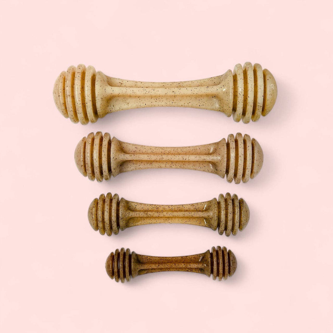 Honey Bone Nylon Chew Bone for Dogs