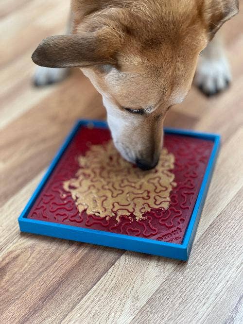 Hold 'em Suction Cup Holder for eBowls, eTrays, and eMats