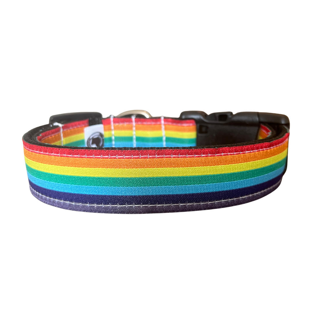 Rainbow Collar