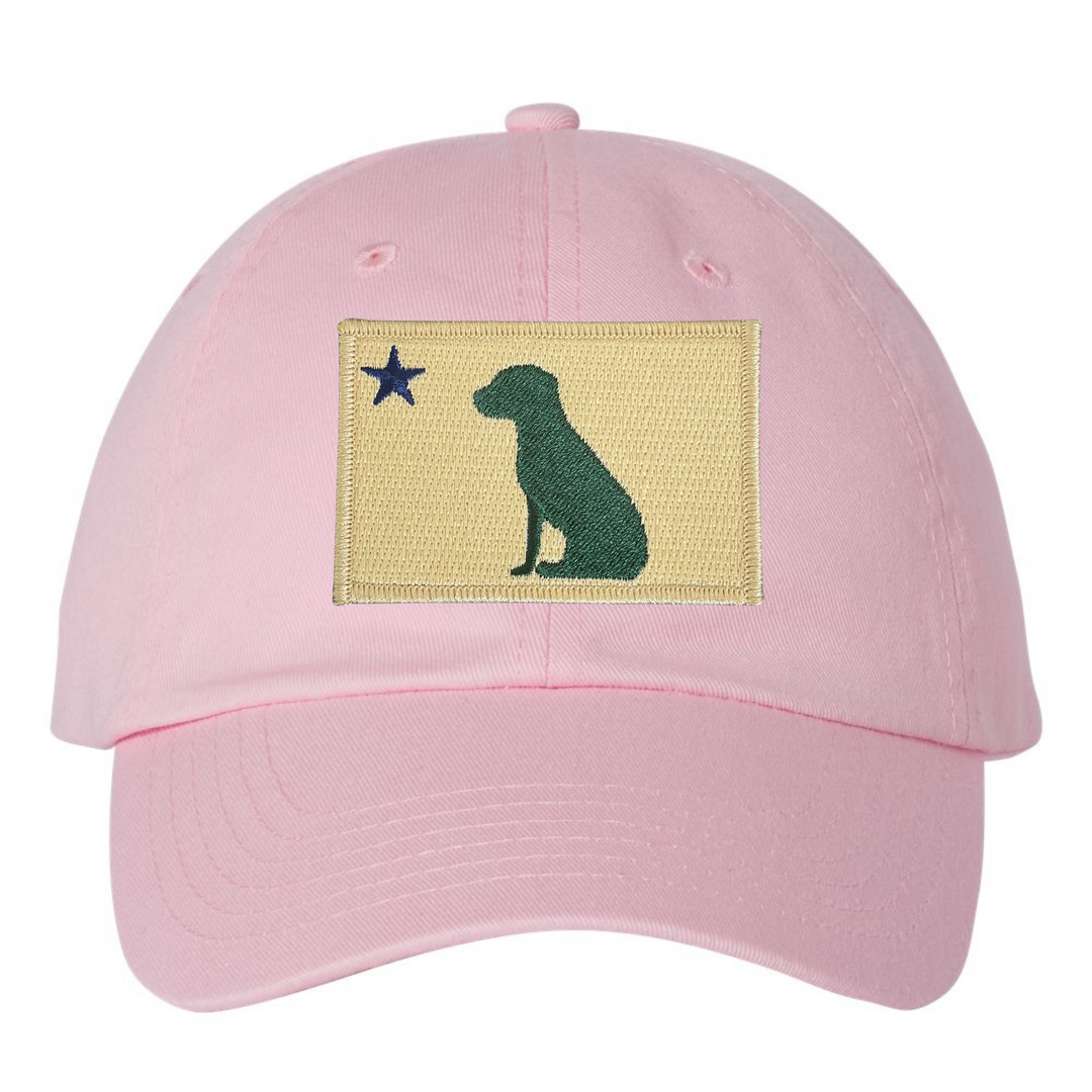 Dog 1901 Maine Flag Dad Hat