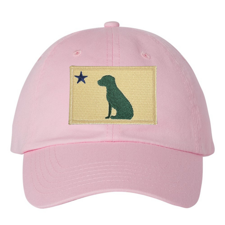 Dog 1901 Maine Flag Dad Hat