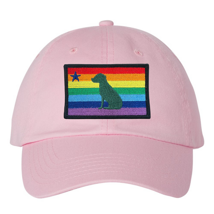 Rainbow Dog 1901 Maine Flag Dad Hat