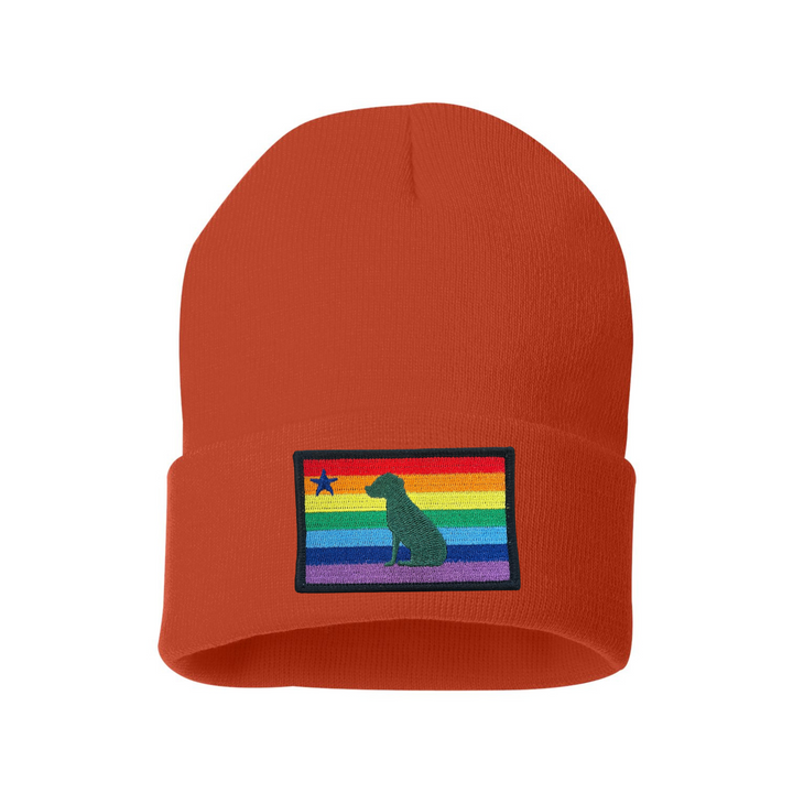 Rainbow Dog 1901 Maine Flag Beanie