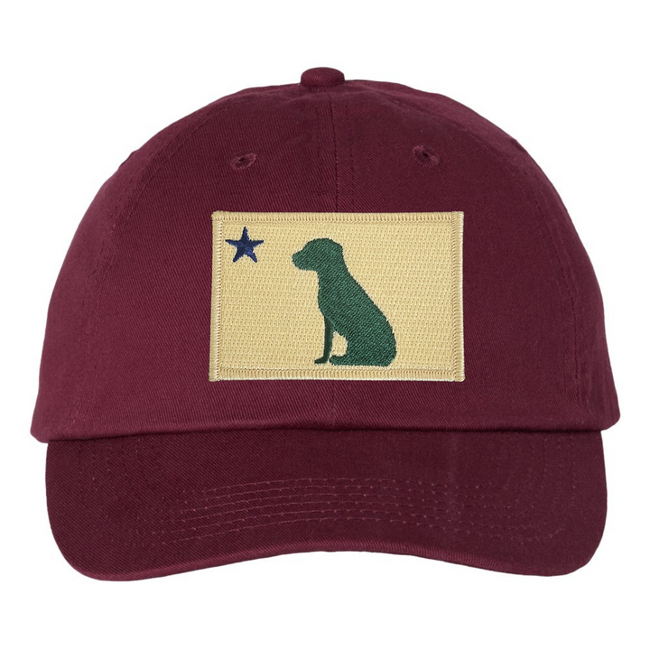 Dog 1901 Maine Flag Dad Hat