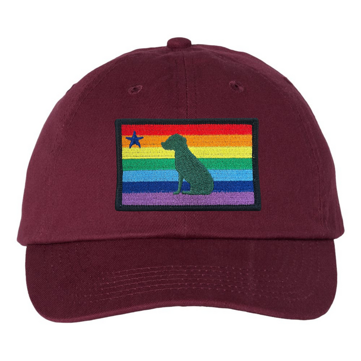 Rainbow Dog 1901 Maine Flag Dad Hat