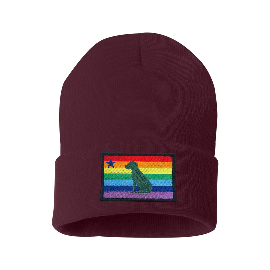 Rainbow Dog 1901 Maine Flag Beanie