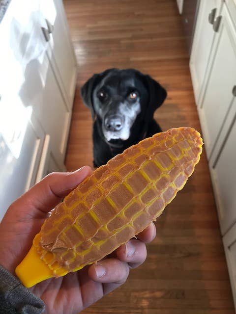 Corn on the Cob Chew Toy - Medium/Large