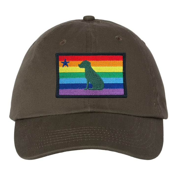 Rainbow Dog 1901 Maine Flag Dad Hat