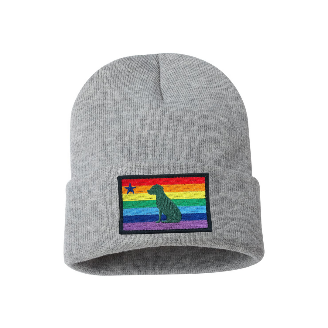Rainbow Dog 1901 Maine Flag Beanie