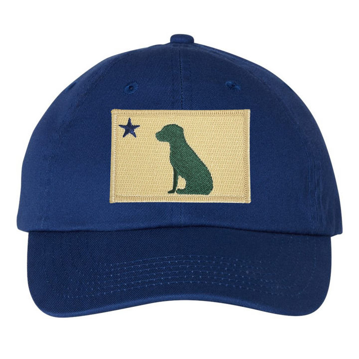 Dog 1901 Maine Flag Dad Hat