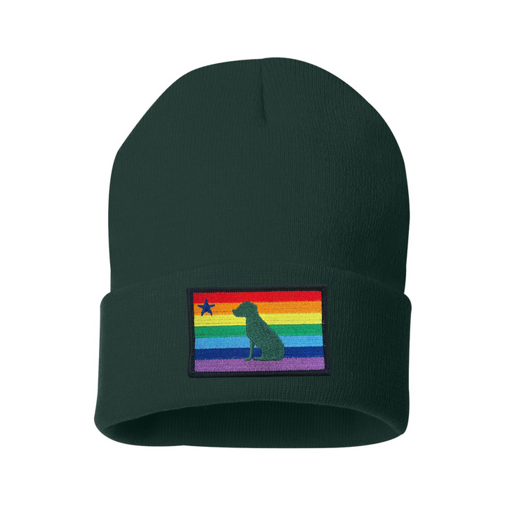 Rainbow Dog 1901 Maine Flag Beanie