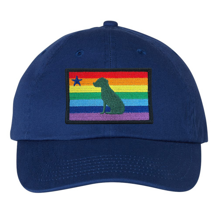 Rainbow Dog 1901 Maine Flag Dad Hat