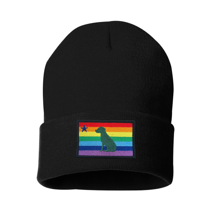 Rainbow Dog 1901 Maine Flag Beanie