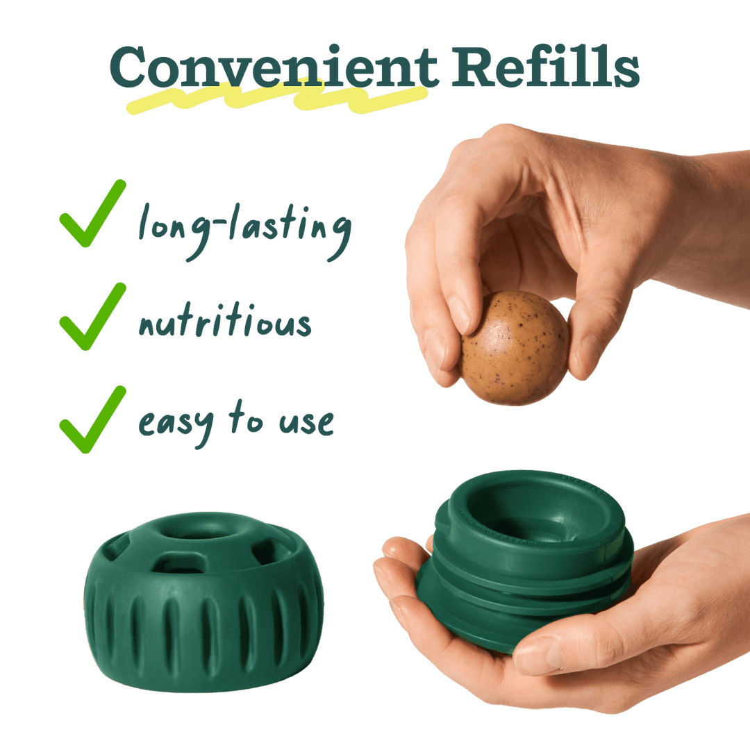 Joint Health Wellness Pops