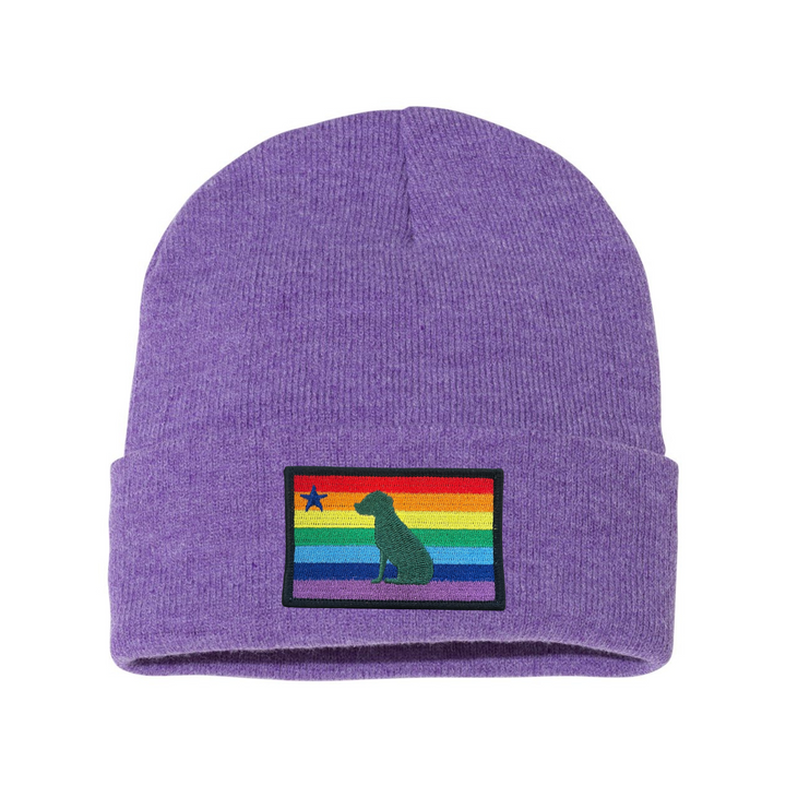 Rainbow Dog 1901 Maine Flag Beanie