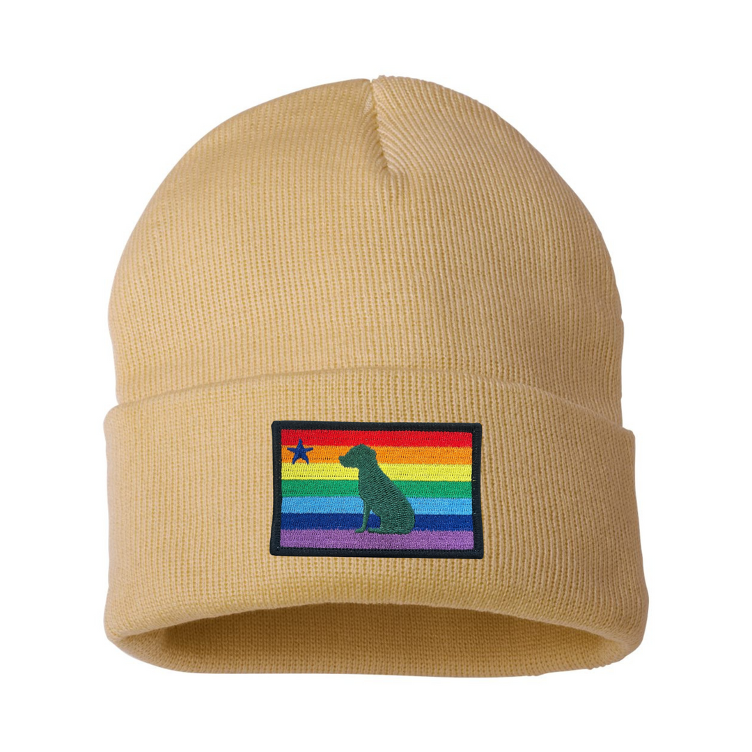 Rainbow Dog 1901 Maine Flag Beanie