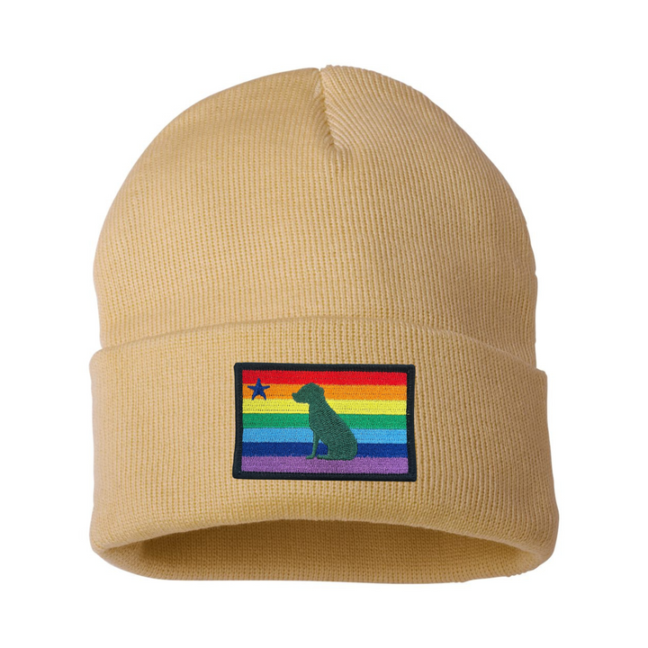 Rainbow Dog 1901 Maine Flag Beanie
