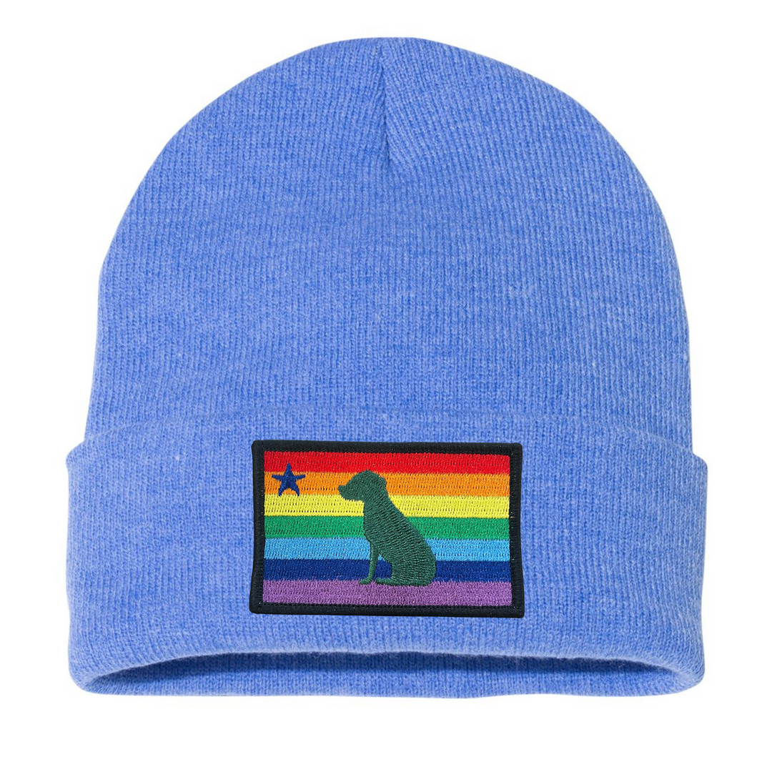 Rainbow Dog 1901 Maine Flag Beanie