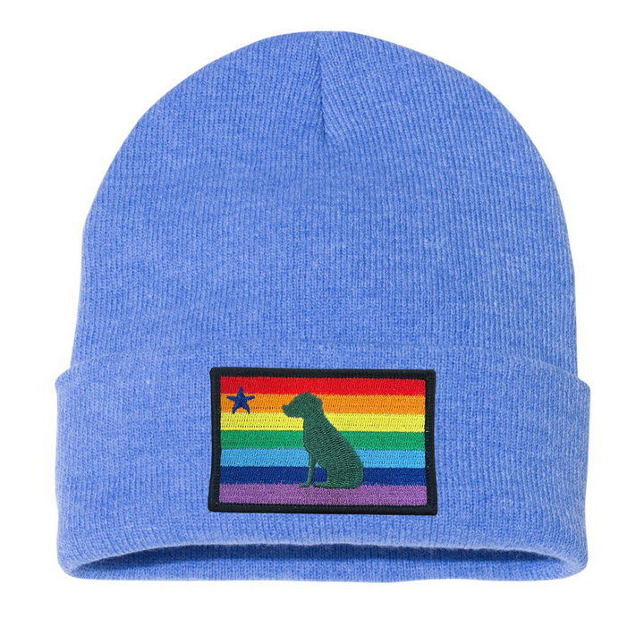 Rainbow Dog 1901 Maine Flag Beanie