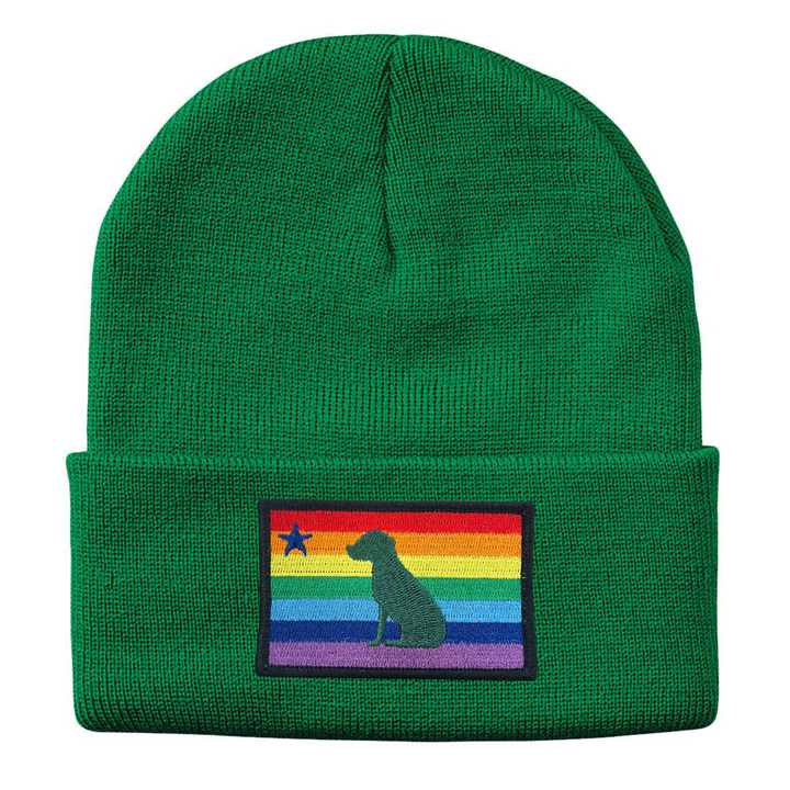 Rainbow Dog 1901 Maine Flag Beanie