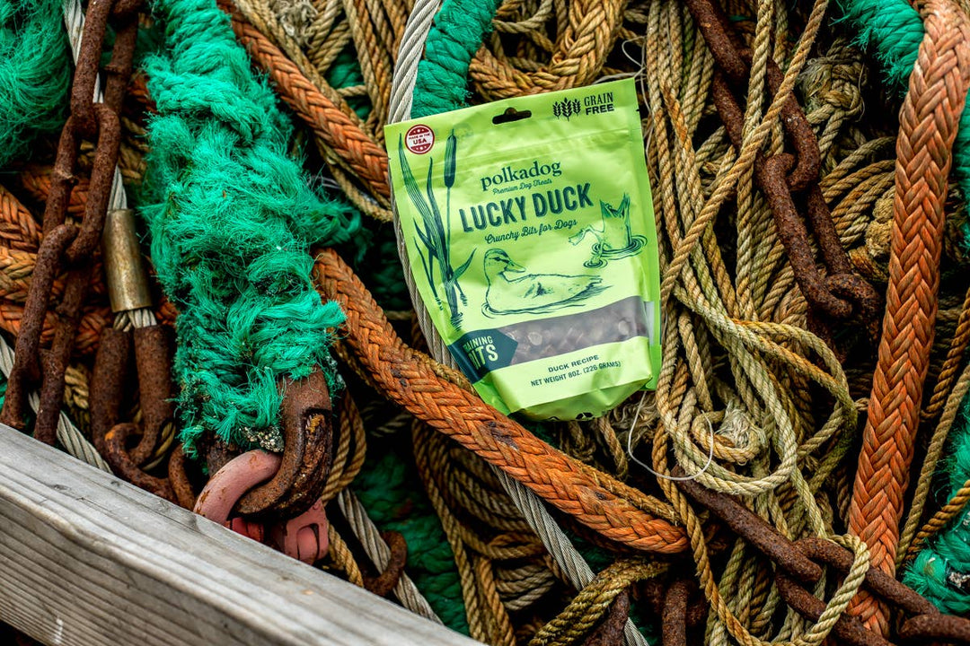 Lucky Duck (Bone Shaped) - 7oz - Dog Treats