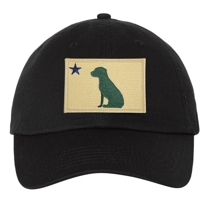 Dog 1901 Maine Flag Dad Hat