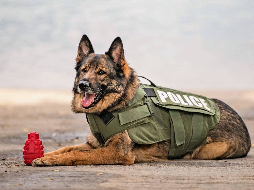 Grenade Shaped Durable Dog Chew Toy & Treat Dispenser - Large Black