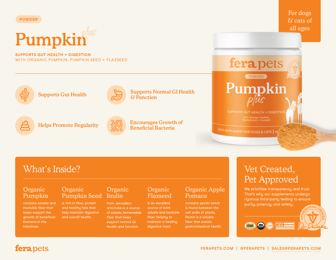 Pumpkin Plus Fiber Support for Dogs and Cats