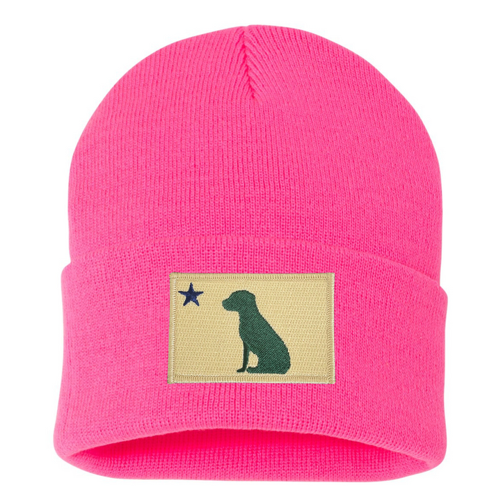 Dog 1901 Maine Flag Beanie