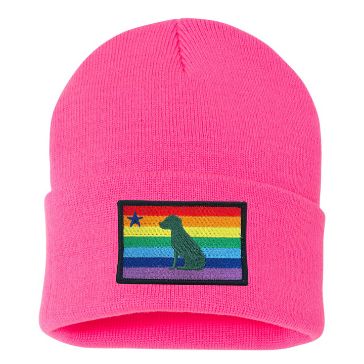 Rainbow Dog 1901 Maine Flag Beanie