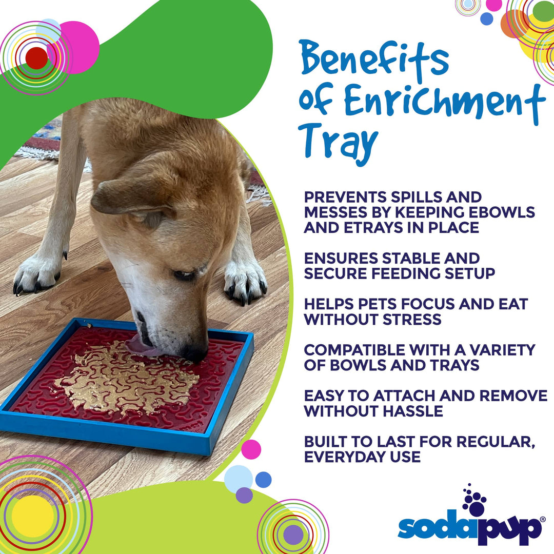 Hold 'em Suction Cup Holder for eBowls, eTrays, and eMats