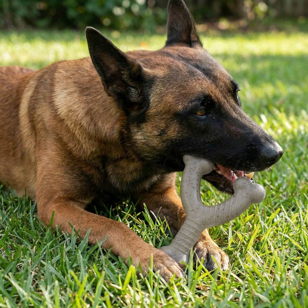 Wishbone Nylon Dog Chew Toy for Aggressive Chewers | USA Made