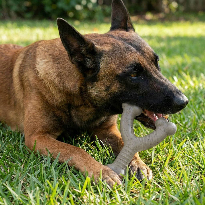 Wishbone Nylon Dog Chew Toy for Aggressive Chewers | USA Made