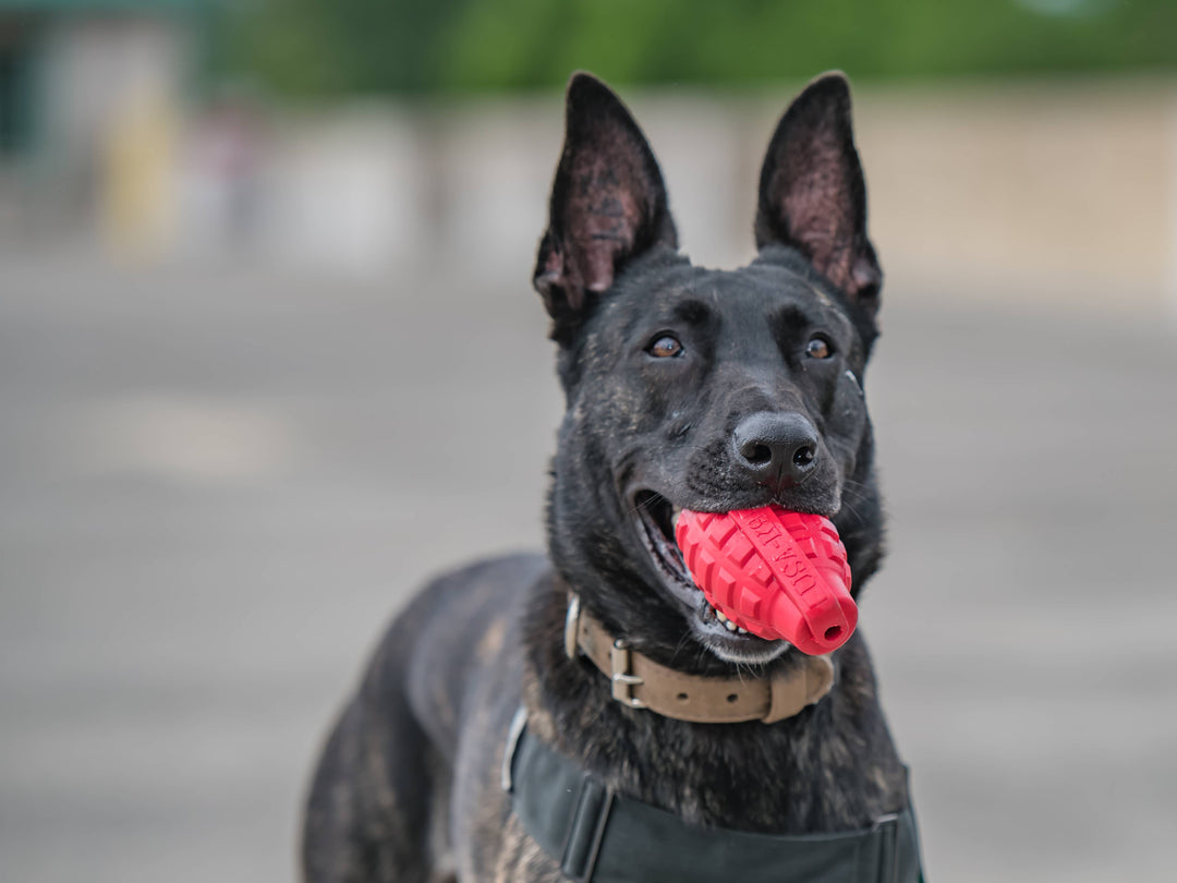 USA-K9 Grenade - Chew Toy - Red