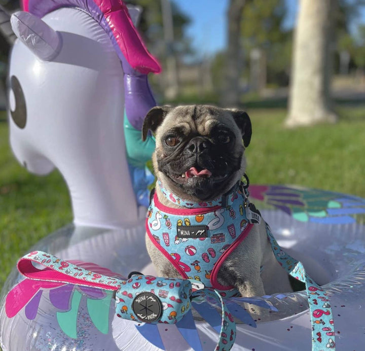 POOL DAY ADJUSTABLE HARNESS