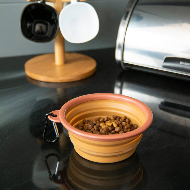 Portable Collapsible Pet Bowl