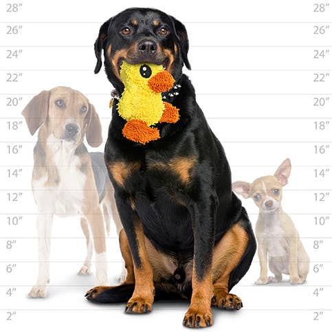 Mighty Microfiber Ball Med Duck, Durable, Squeaky Dog Toy
