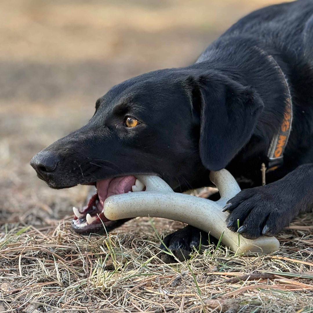 Elk Antler Shaped Dog Nylon Chew Toy