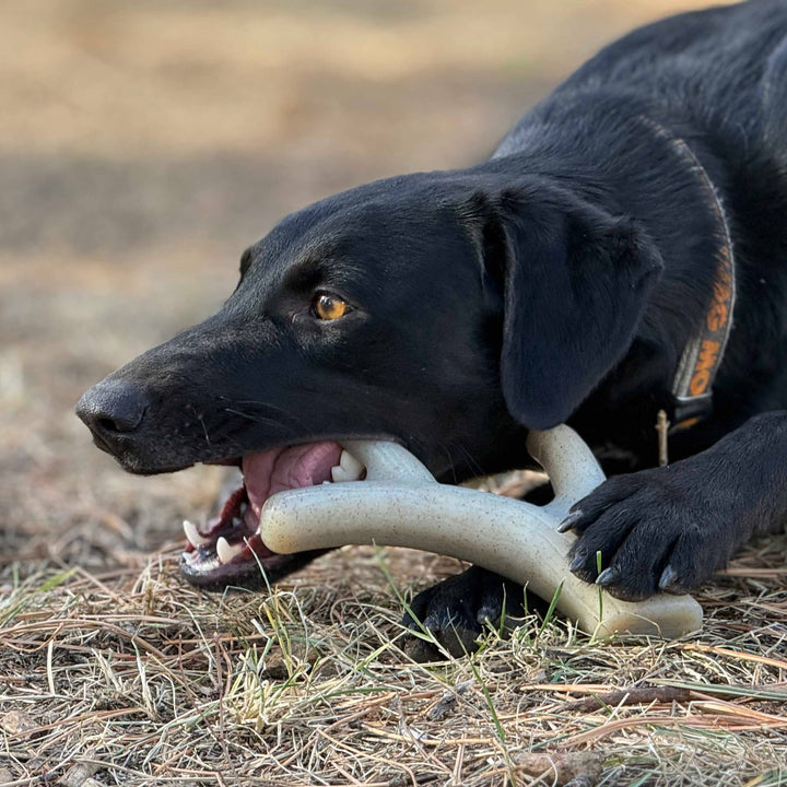 Elk Antler Shaped Dog Nylon Chew Toy