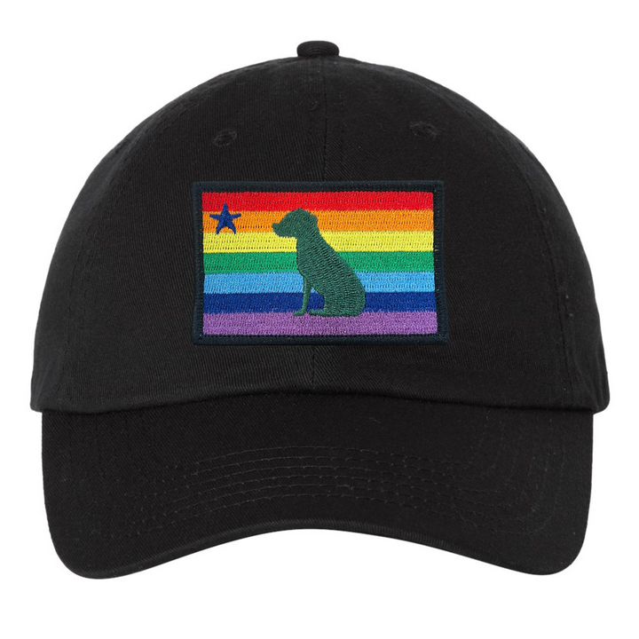 Rainbow Dog 1901 Maine Flag Dad Hat
