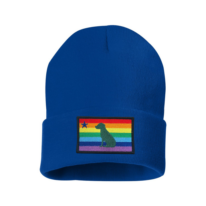 Rainbow Dog 1901 Maine Flag Beanie