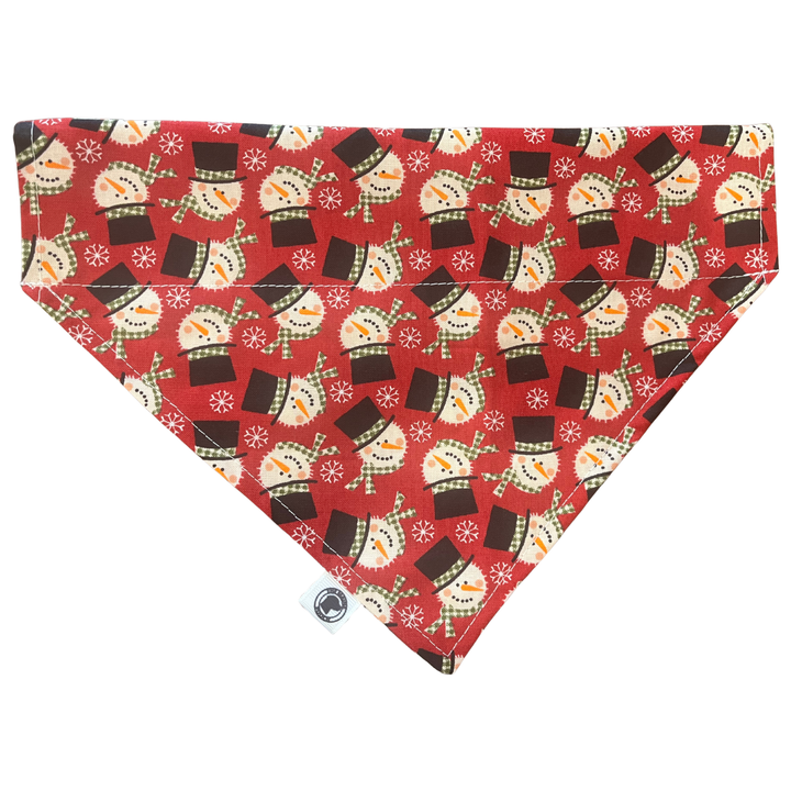 The Frosty Bandana