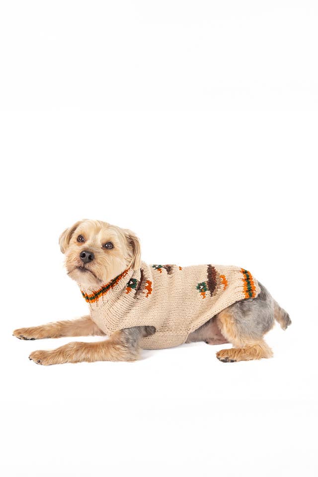 Lucky Duck Dog Sweater